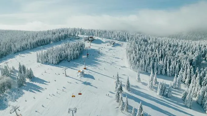 W Centrum * 두슈니키 즈드로지